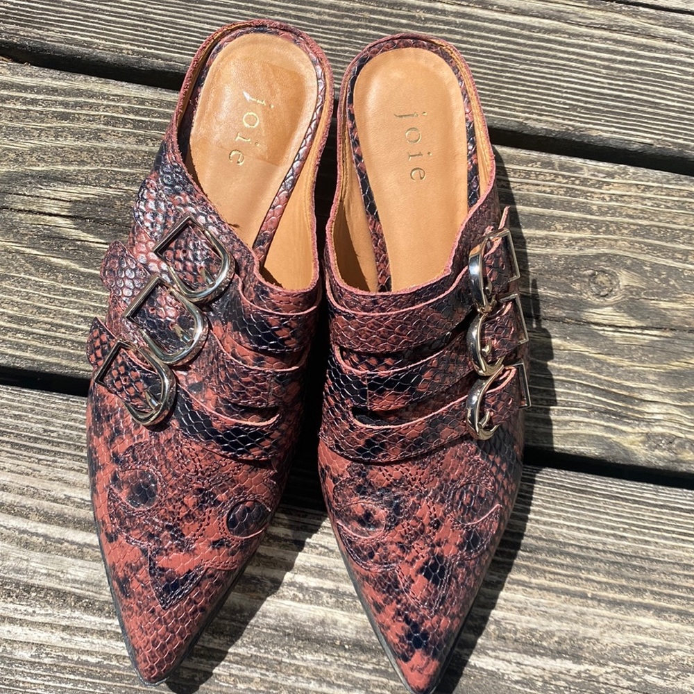 Joie snake buckle pointed mule slide